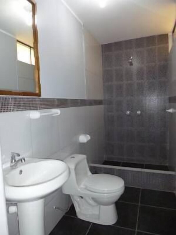 Uma casa de banho com lavatório, sanita e área de duche.