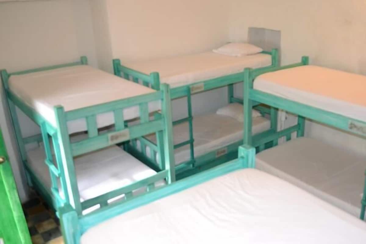 Shared Room | View from room