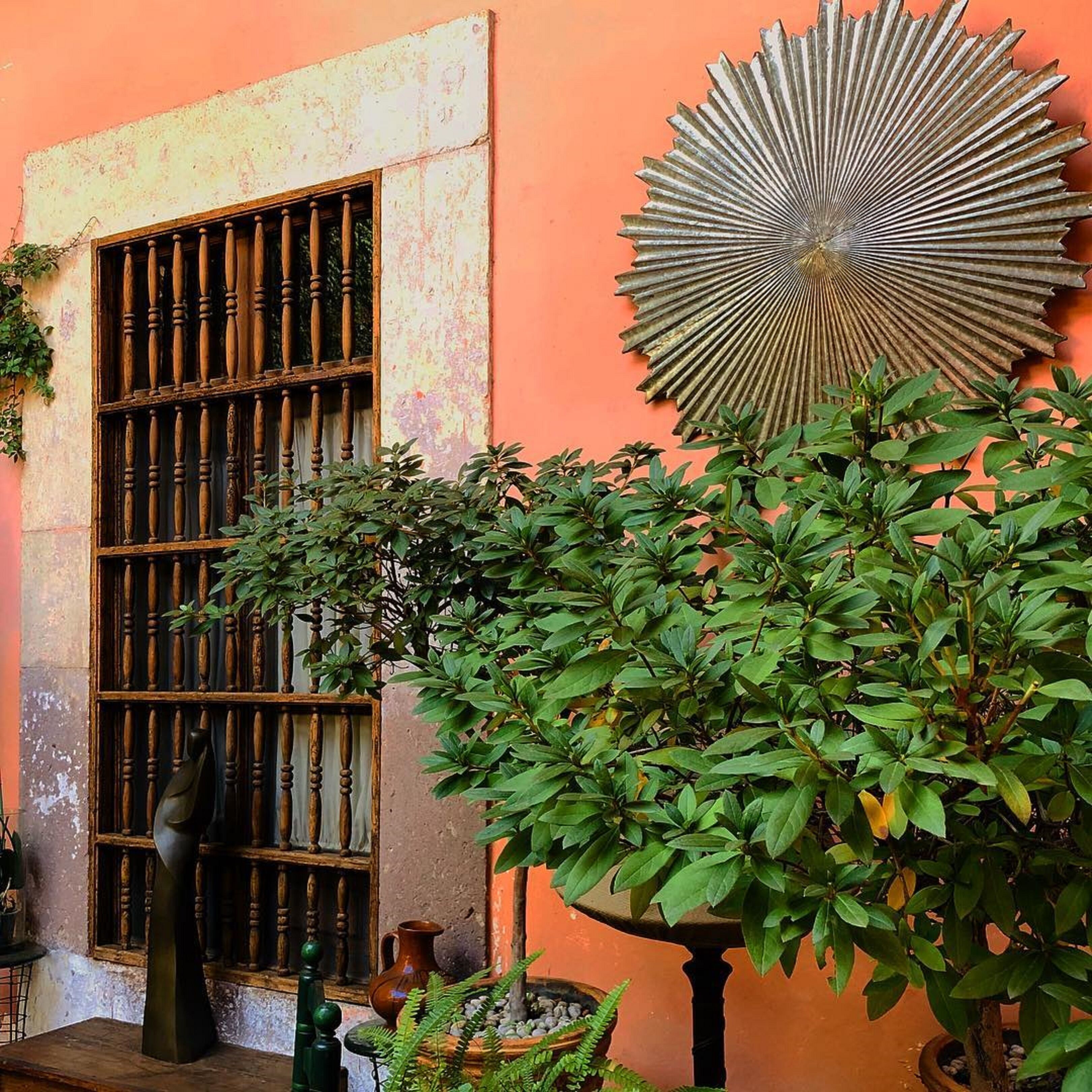 Foto - Casa Eugenia Hotel