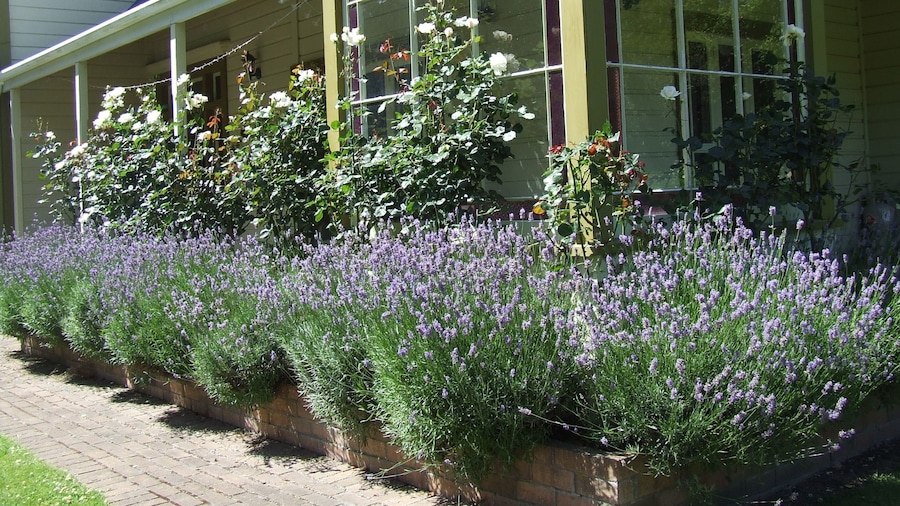 Tairoa Lodge & Cottage