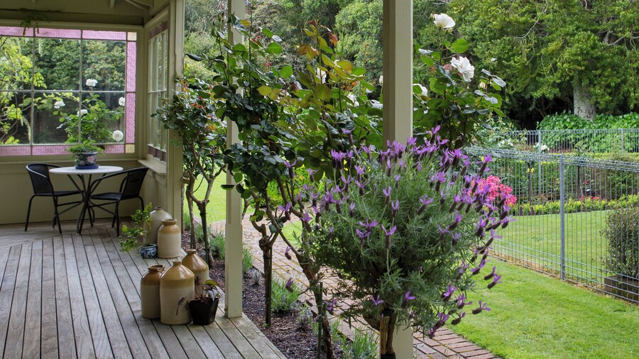 Tairoa Lodge & Cottage