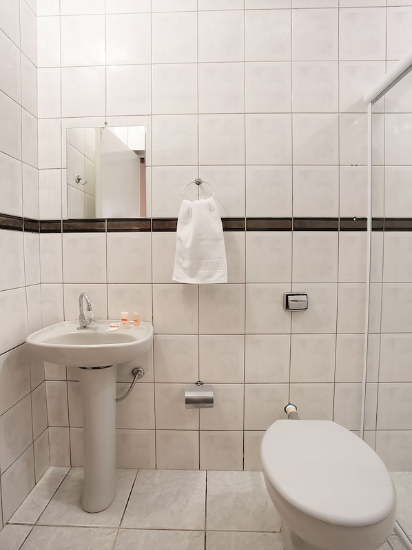 A bathroom with a white sink, a toilet, and a towel hanging on a metal ring. - Hotel Belém (São Paulo)