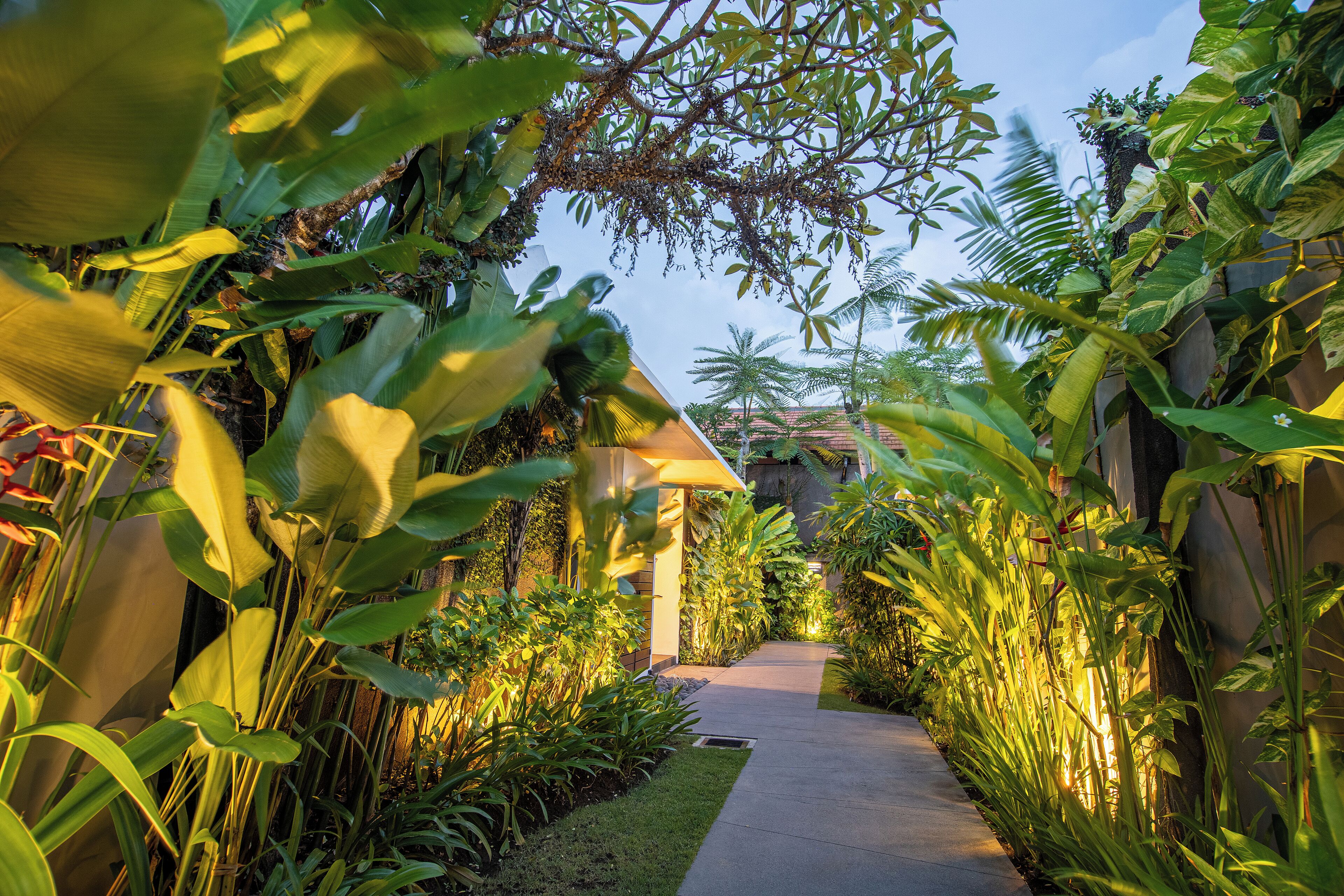 Un sendero bordeado por exuberante vegetación tropical que conduce a un edificio con techo inclinado.