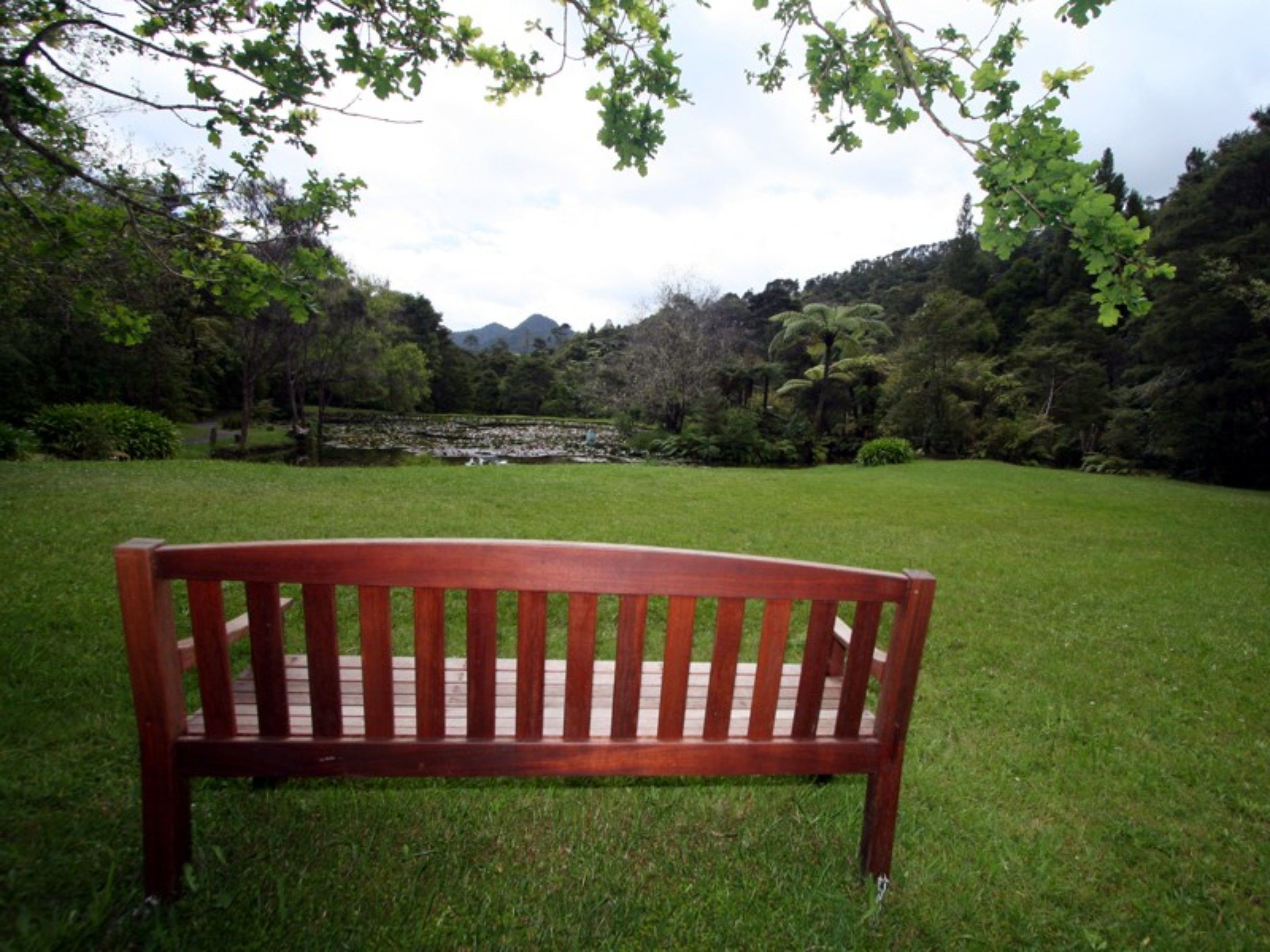 Un banc en bois dans un parc verdoyant, avec des arbres et une vue lointaine sur les montagnes.