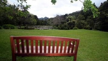 Un banc en bois dans un parc verdoyant, avec des arbres et une vue lointaine sur les montagnes.