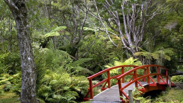Un puente rojo en un bosque verde exuberante.