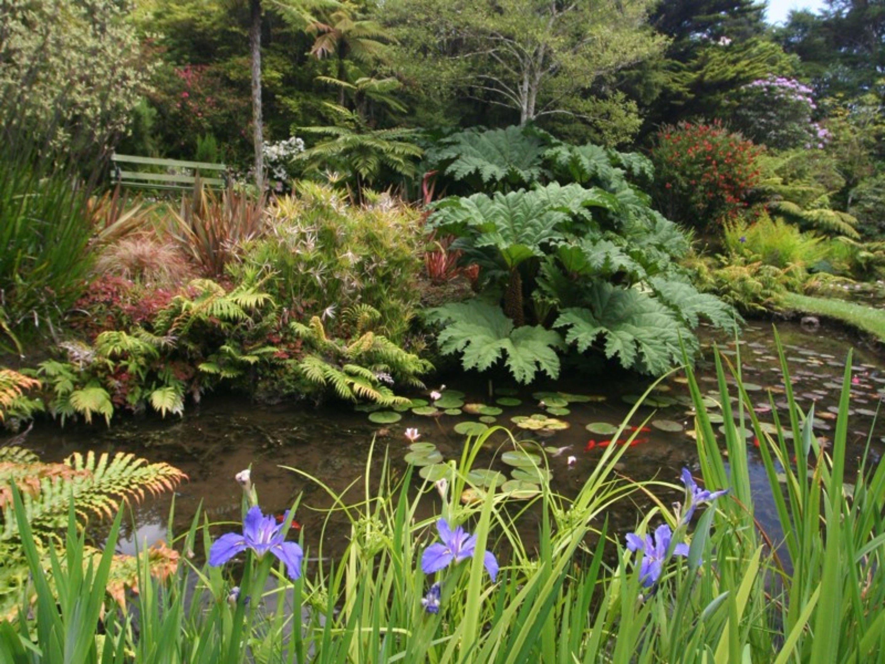 A lush garden with a pond, various plants, and a wooden bench.