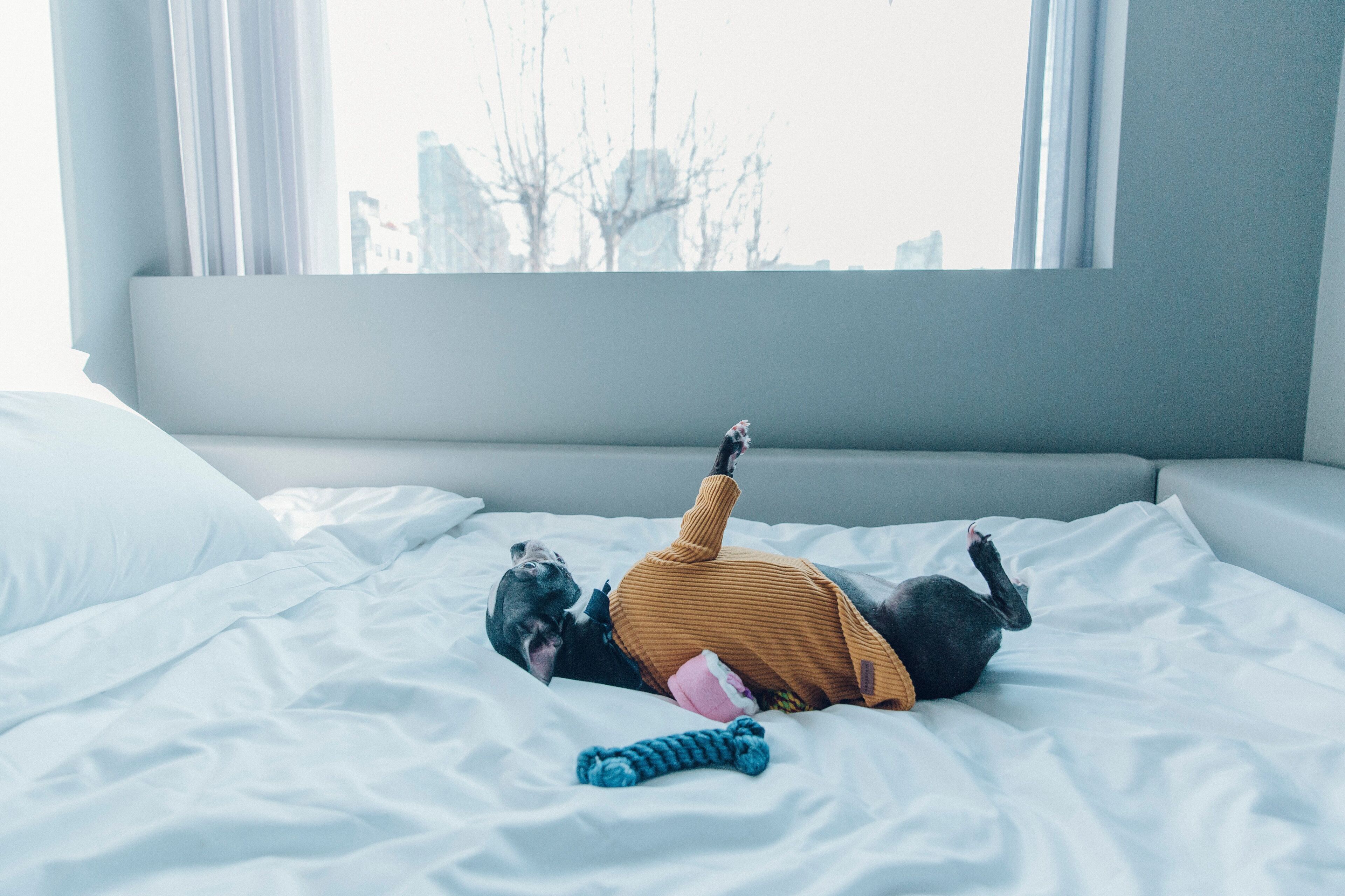A person lying on a bed with a city view through the window.