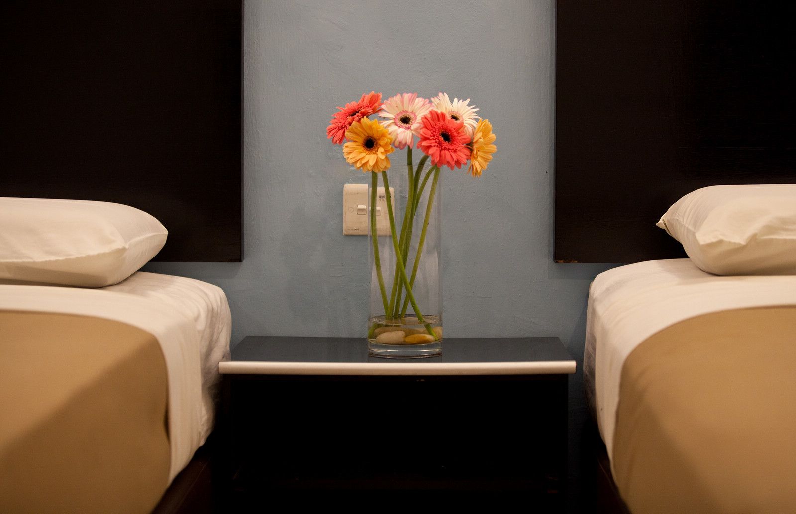 Habitación de hotel con dos camas, una mesita de noche con un florero y un interruptor de luz en la pared.