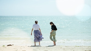 Dos personas caminando por una playa, con un mar tranquilo al fondo.