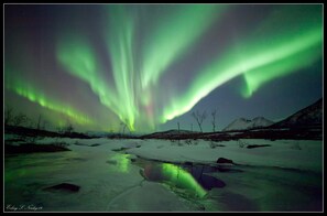 A snowy landscape with a frozen river reflecting the night sky. - Yggdrasil Farmhotel Retreat, Spa & Yoga (Tromsø)