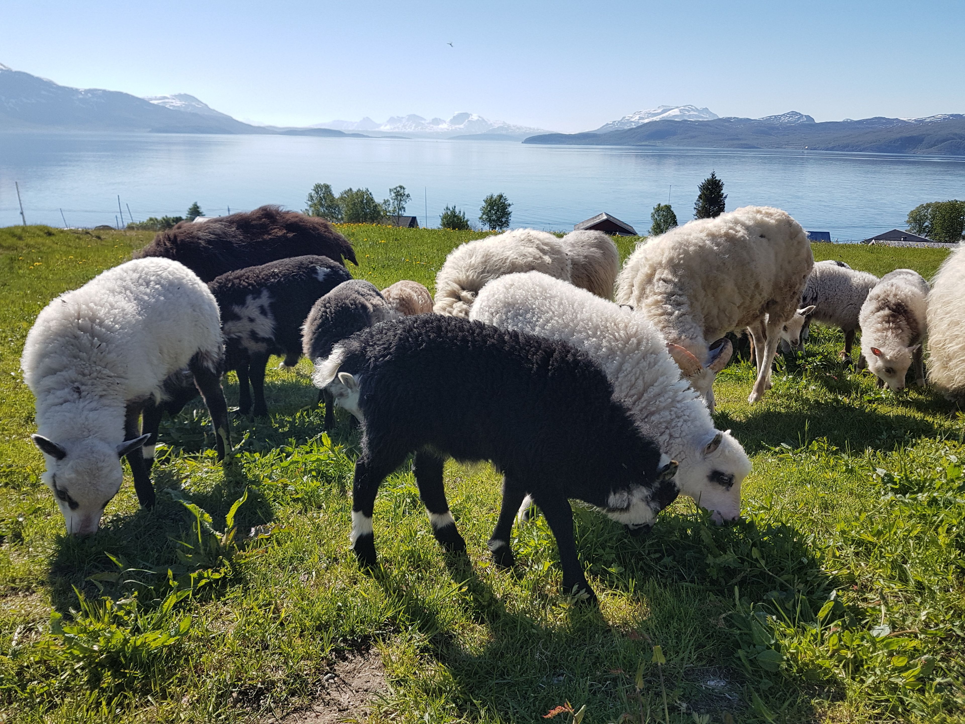 Utsikt fra overnattingsstedet