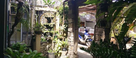 Jardin