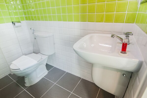 A bathroom with a toilet and a sink.