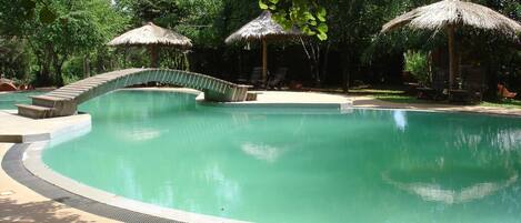 Outdoor pool, sun loungers