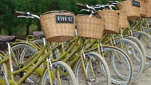 Una fila de bicicletas amarillas con cestas de mimbre etiquetadas como "RSVK 02".