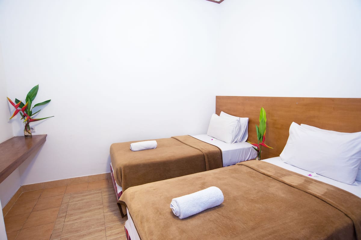 A hotel room with two beds, each with a brown bedspread and white pillows. There is a wooden headboard on the right bed, and a small plant with red and green leaves on the left side of the room.
