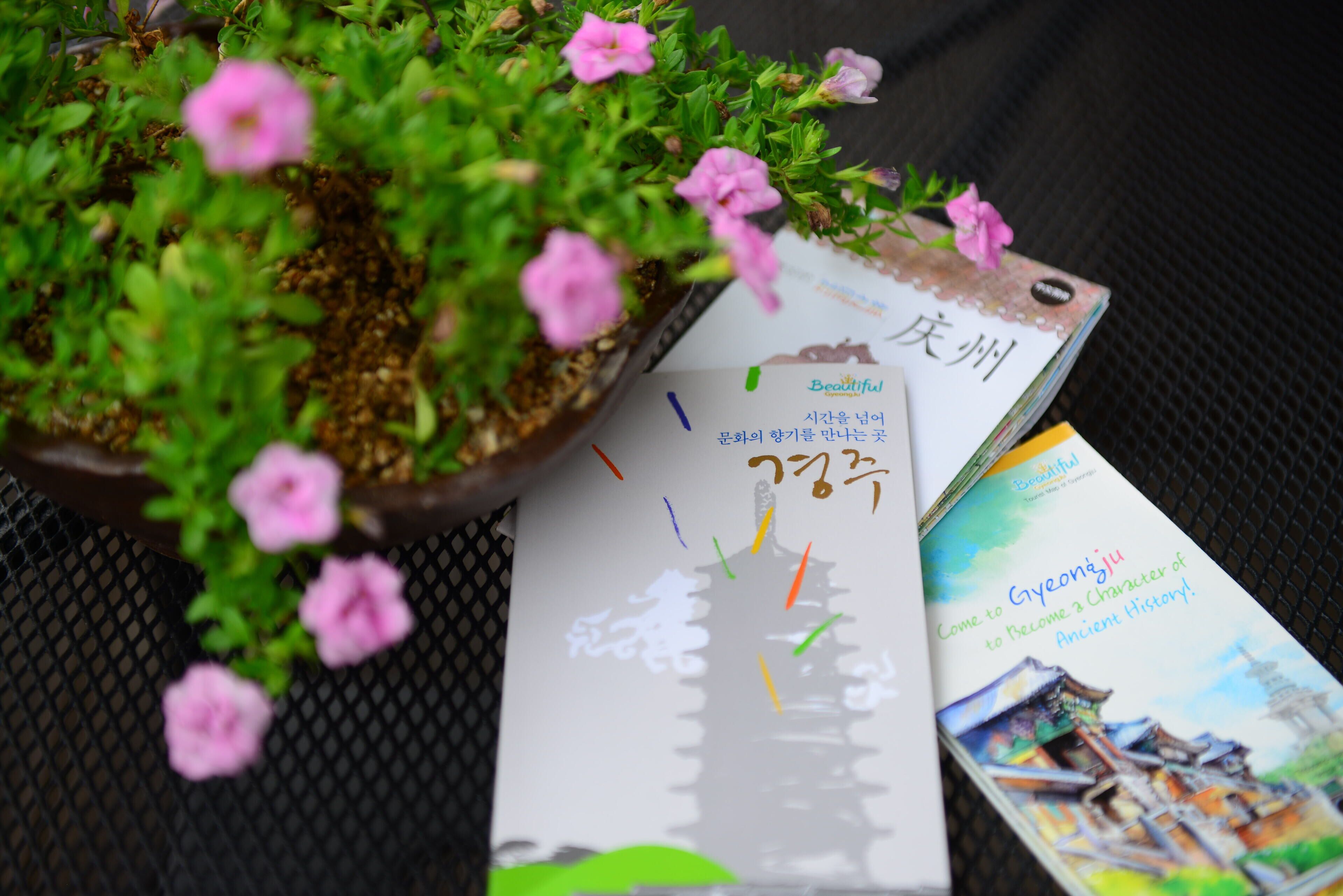 A potted plant with pink flowers and a book titled 'Gyeongju'.