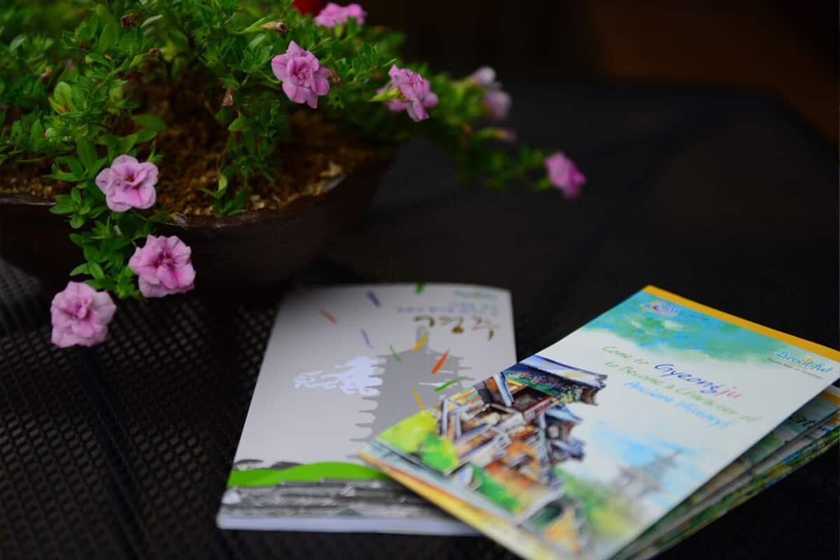 Un folleto con el título 'Come to Queensland' junto a una planta en maceta con flores rosadas.