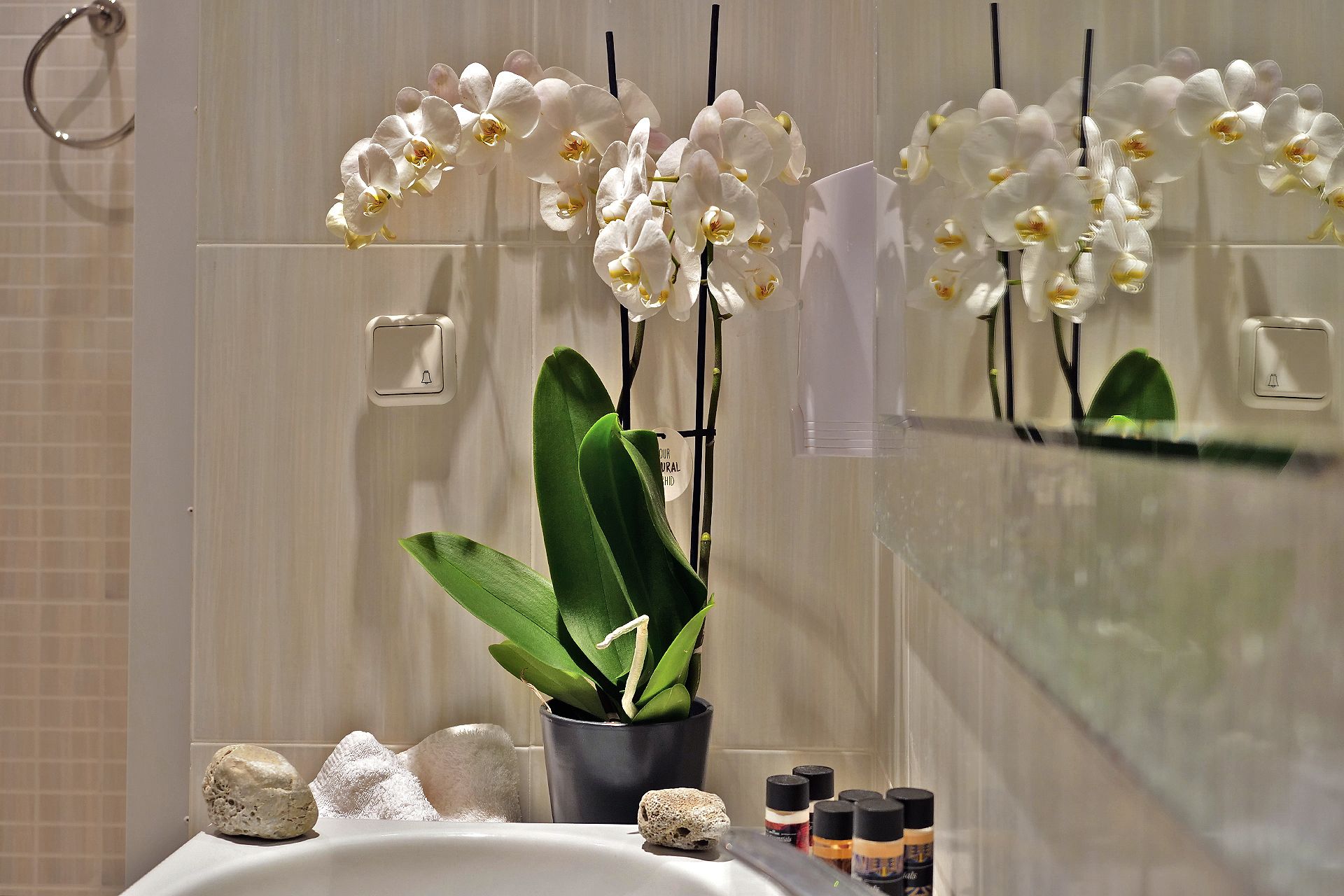 standard room | bathroom | shower, free toiletries, hair dryer, bathrobes