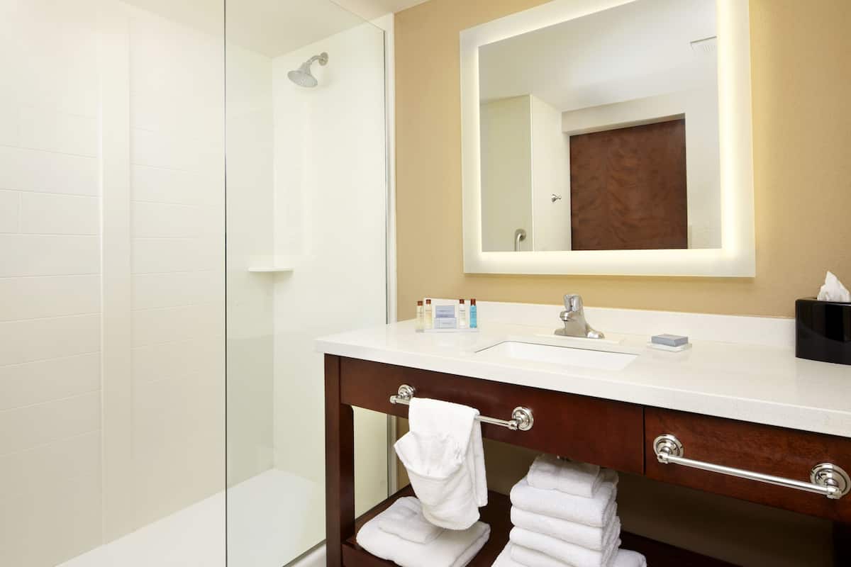 combined shower/bathtub, free toiletries, hair dryer, towels