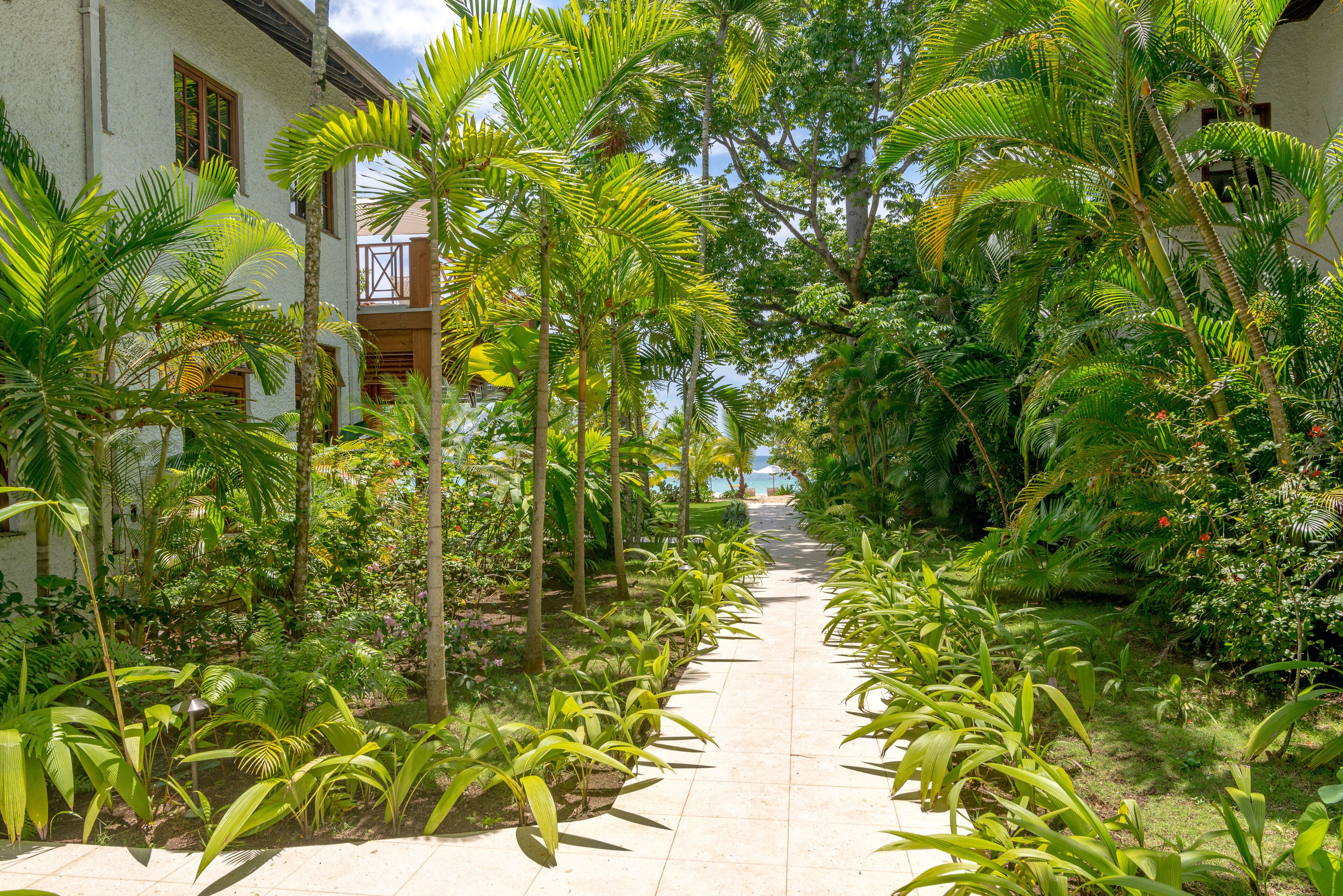 A pathway flanked by lush tropical plants leading to a building with balconies.