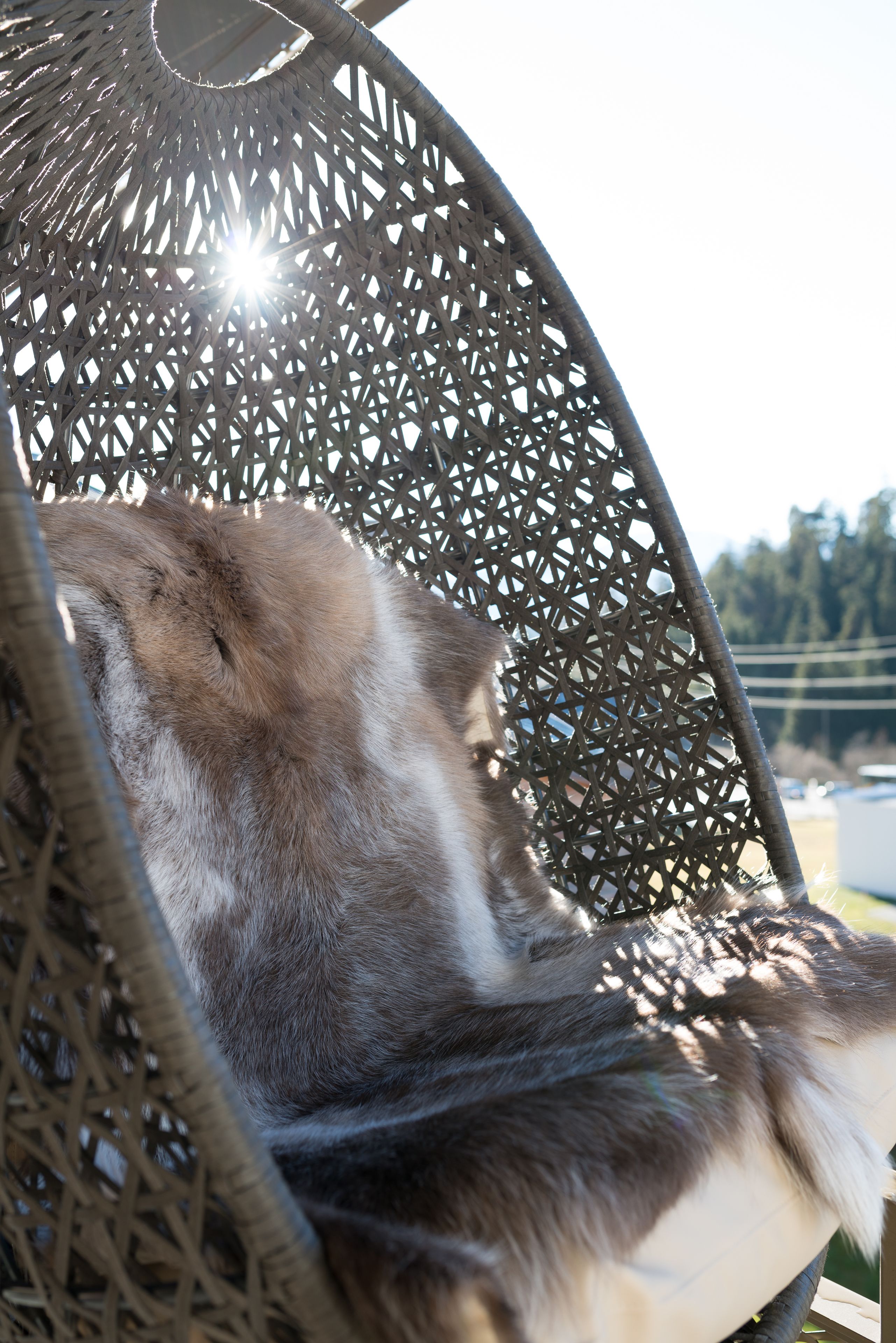 A wicker chair with a circular design and a mesh backrest.