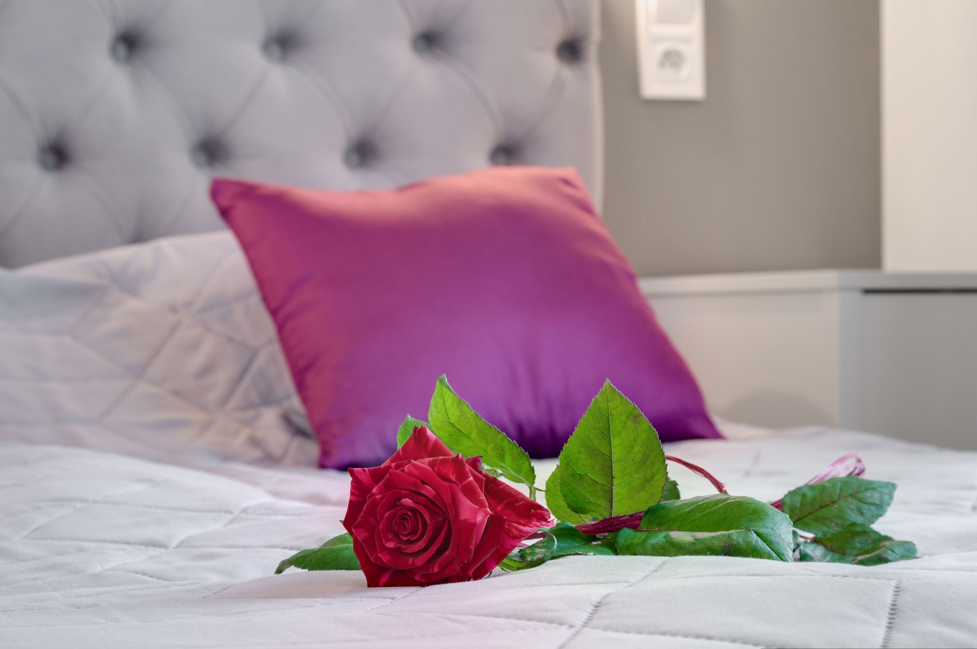 Un lit avec une couette blanche, une rose rouge et un oreiller violet.