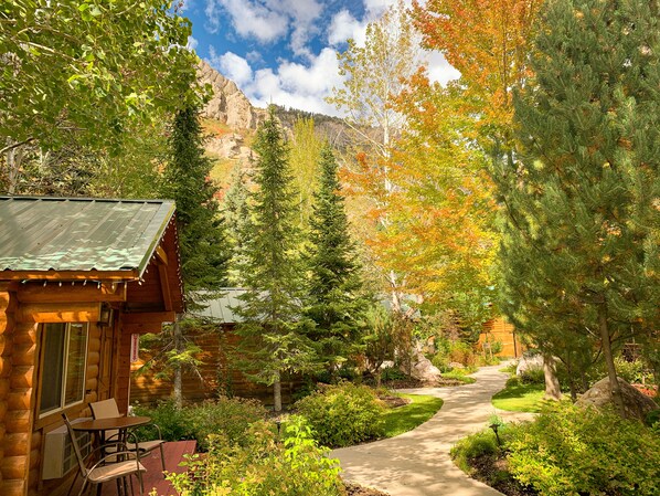 Vistas desde la habitación