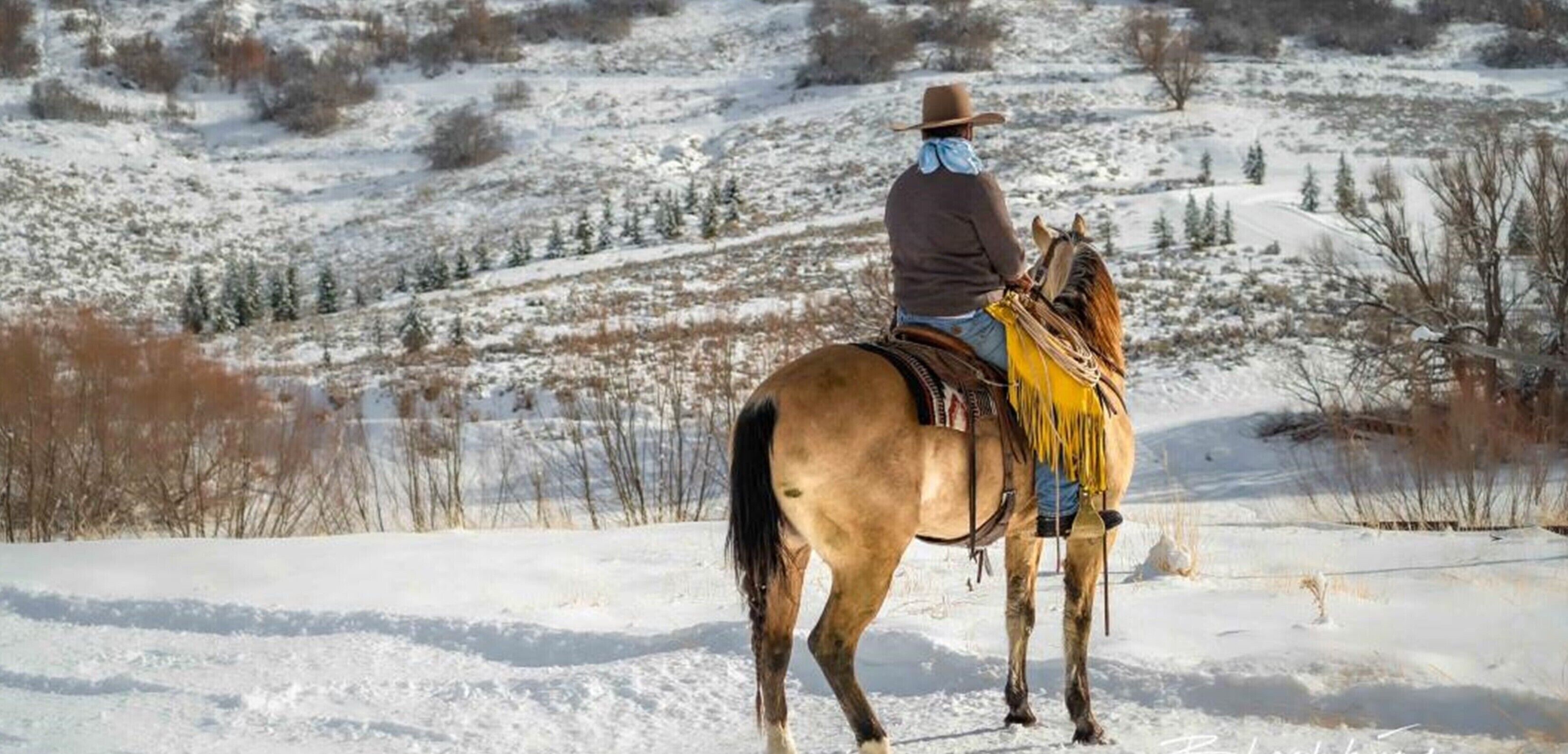 A person riding a horse in a snowy landscape.