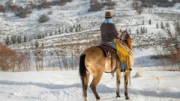 A person riding a horse in a snowy landscape.