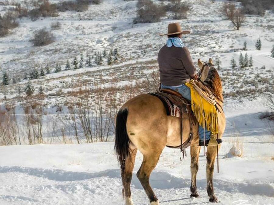 A person riding a horse in a snowy landscape.