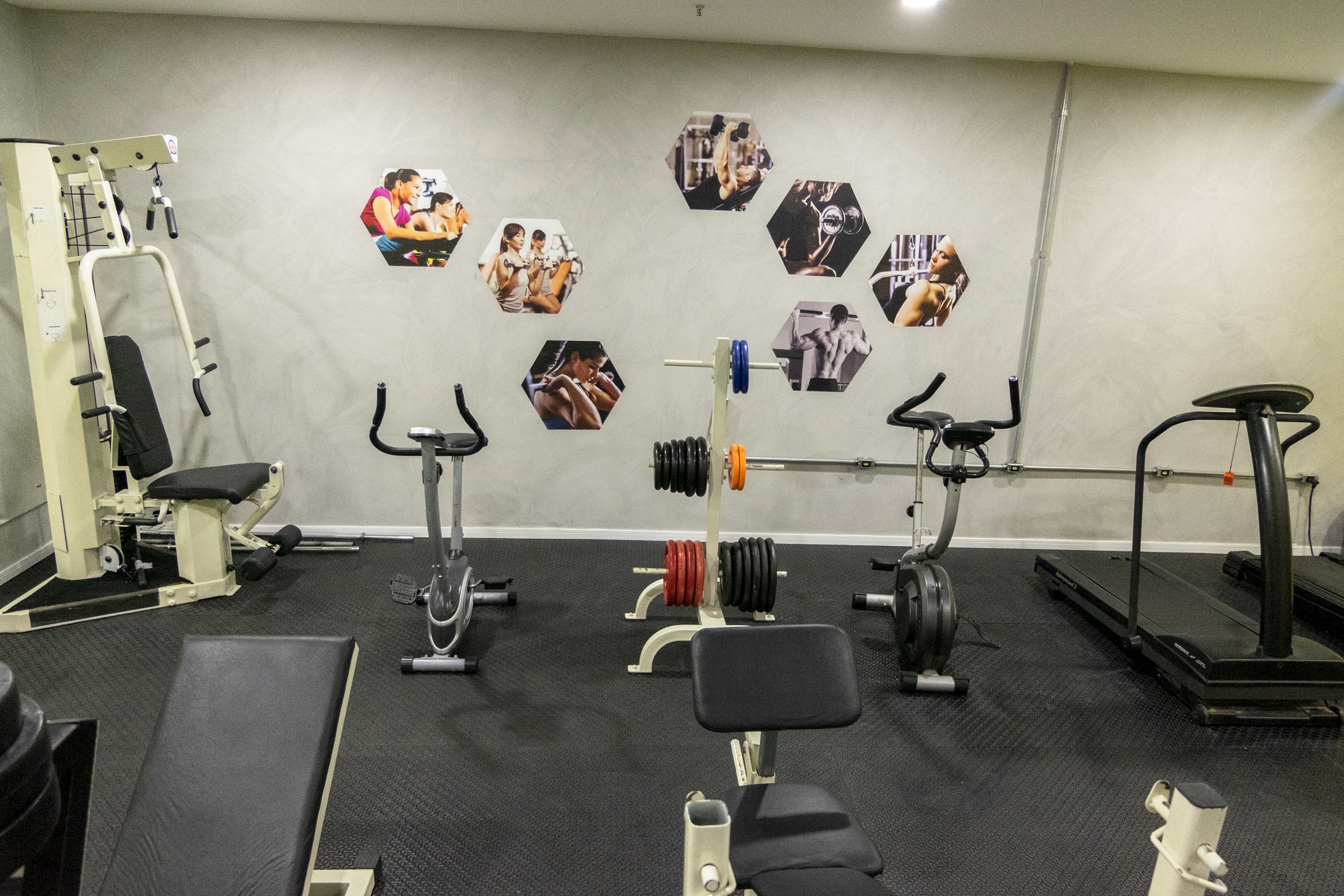 A gym with various exercise equipment, including a bench press, a squat rack, and a treadmill.