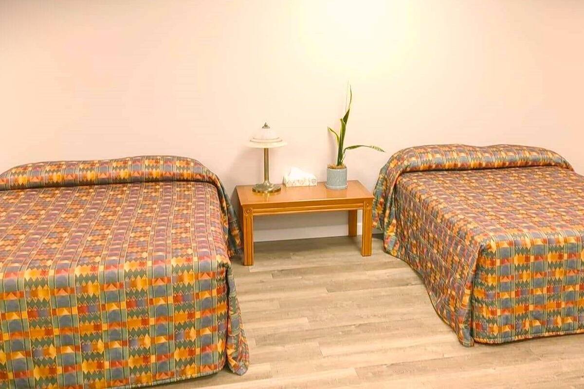 Una habitación con dos camas, una mesita, una lámpara y una planta en maceta.
