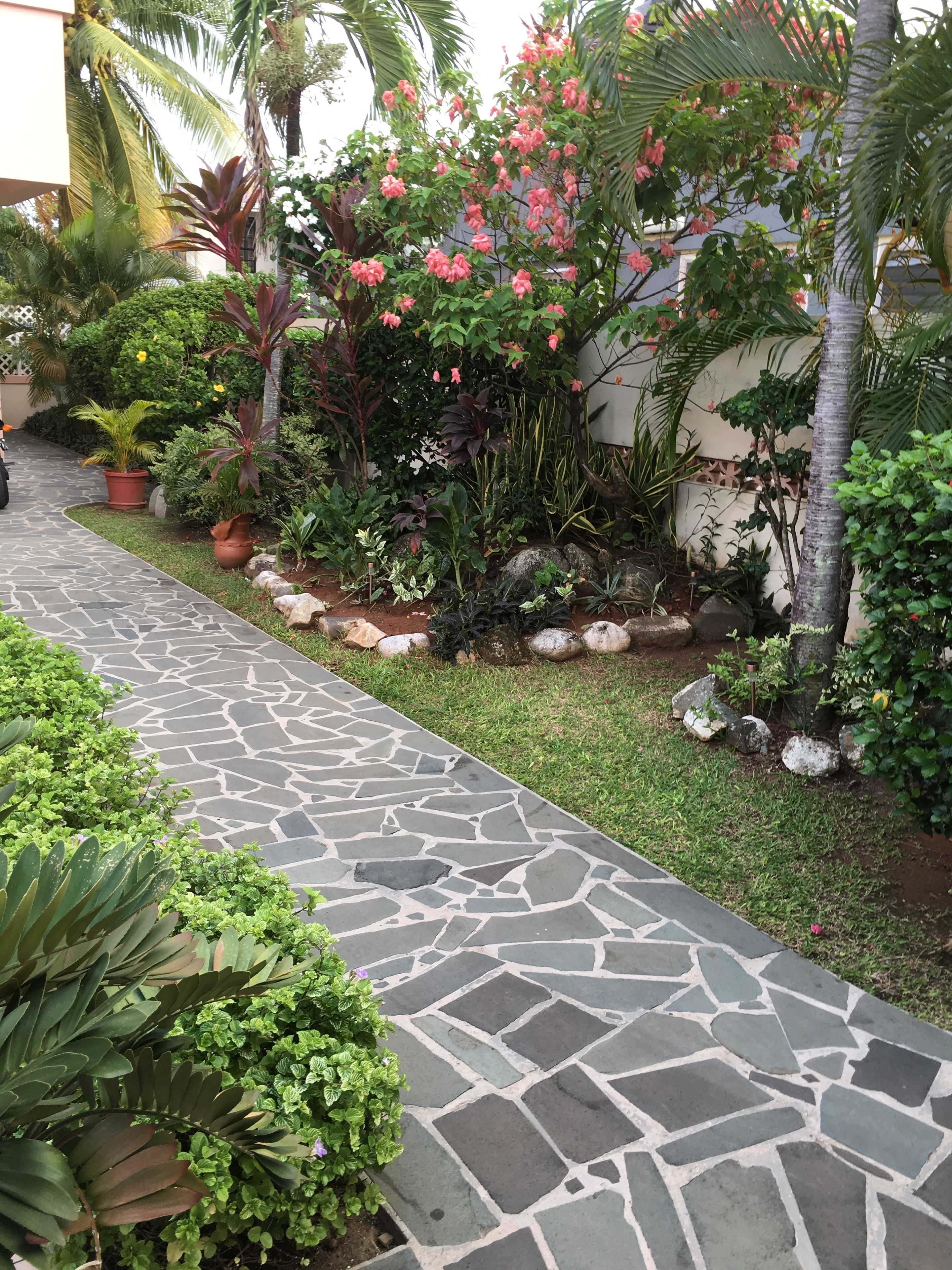 Un sendero de piedra que atraviesa un jardín con diversas plantas y una palmera.