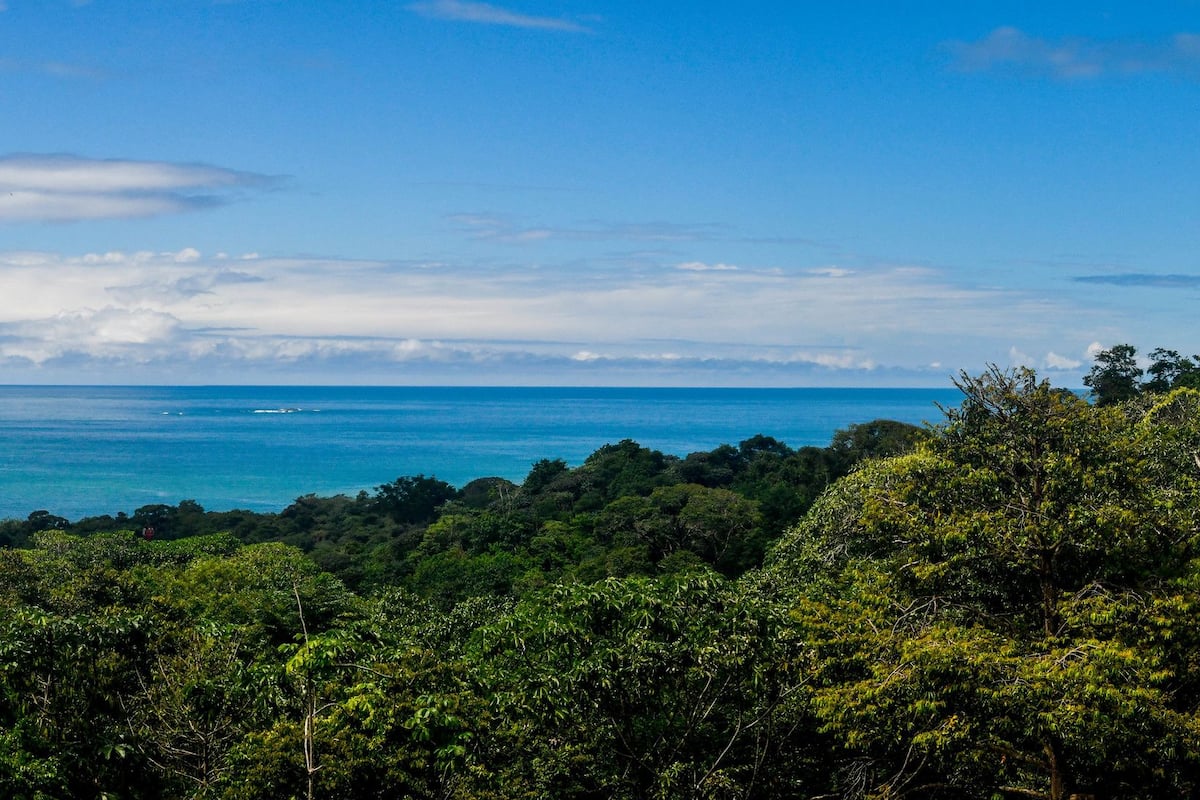 Vistas desde la habitación