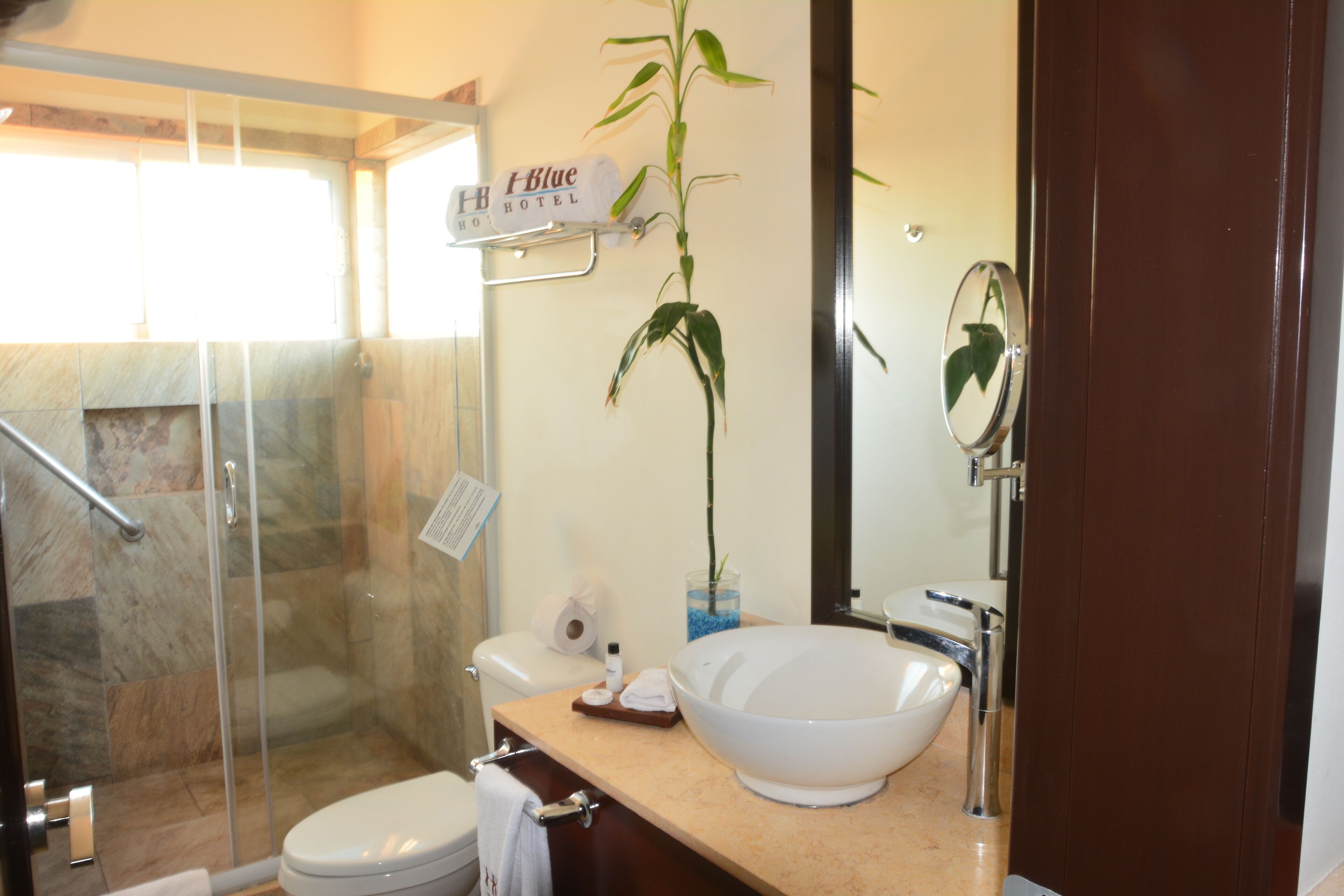 A bathroom with a glass shower, a white sink, and a bamboo plant.