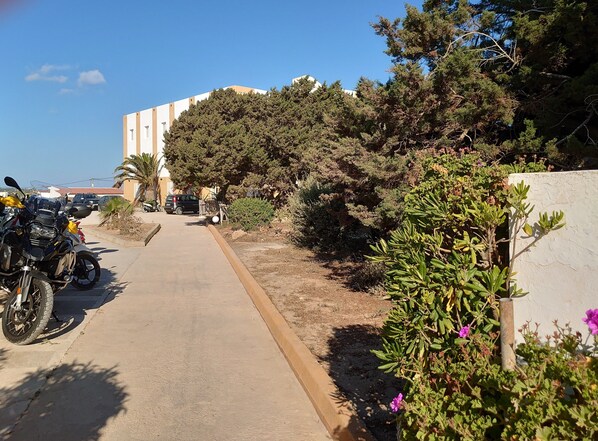 A paved road with parked motorcycles and cars, surrounded by dense vegetation and a building with a white facade. - Hostal Lago Playa II (Formentera)