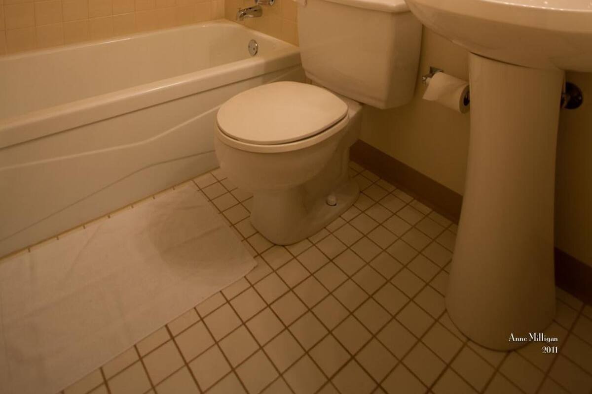 combined shower/bathtub, free toiletries, hair dryer, towels