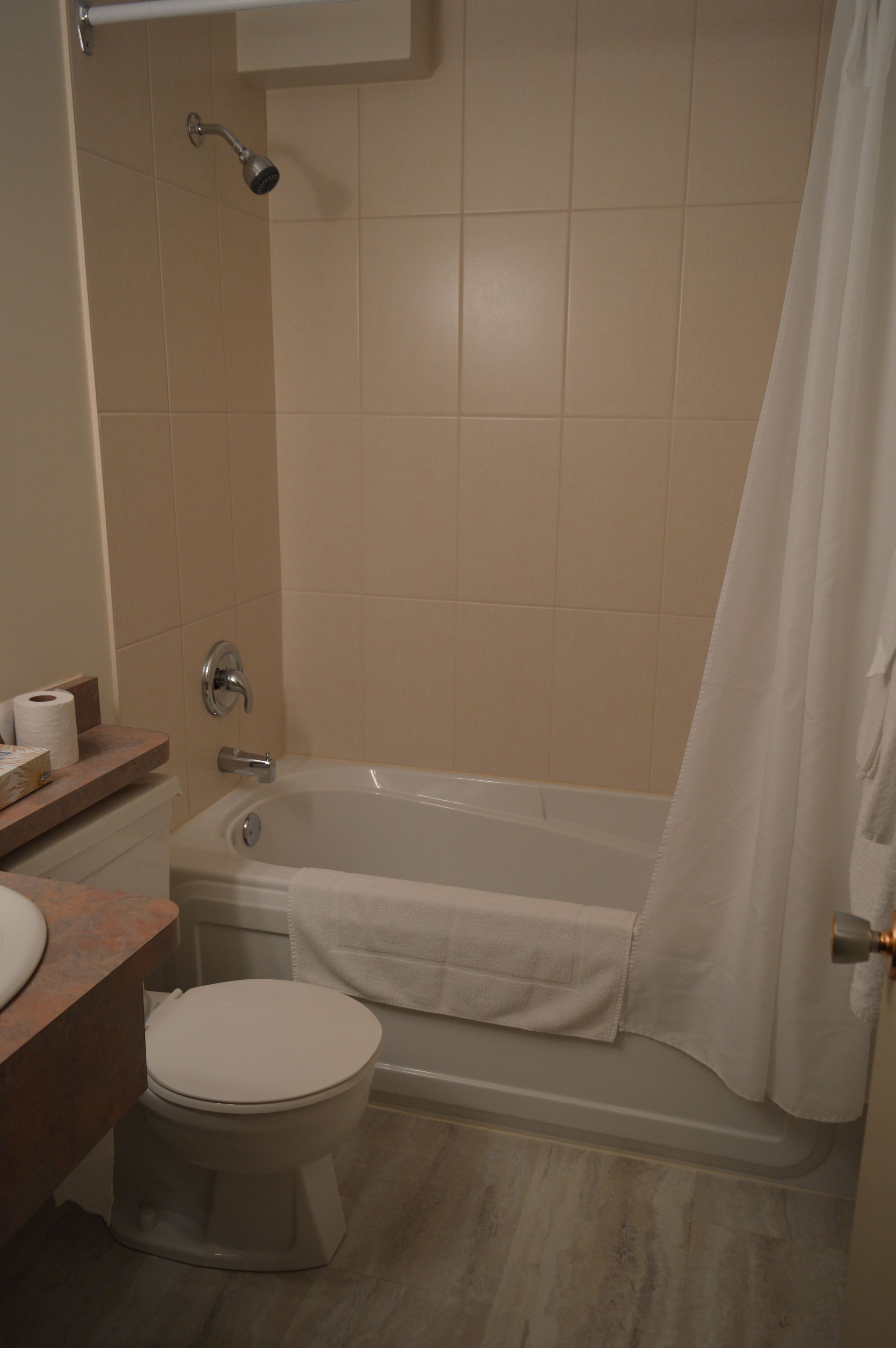 combined shower/bathtub, free toiletries, hair dryer, towels