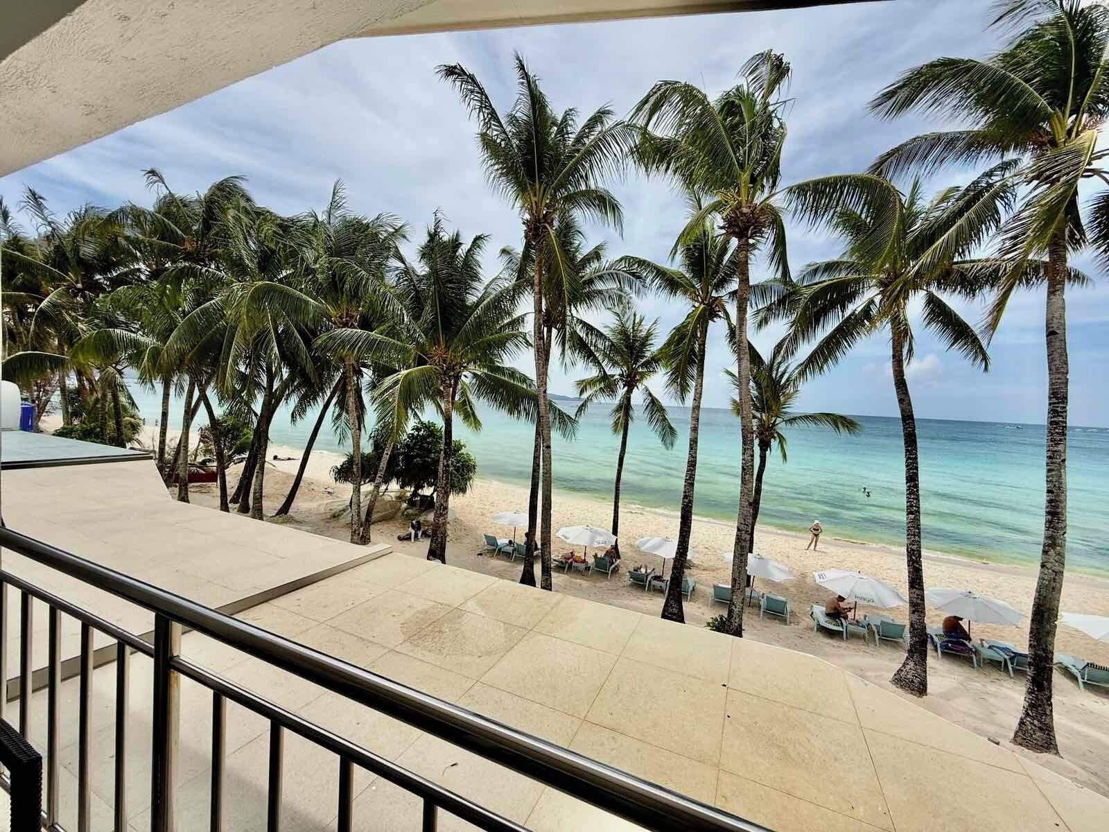 Blick auf einen Strand mit Palmen und Sand.