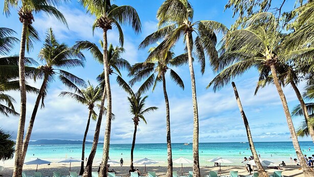 A beach with palm trees, clear blue water, and people swimming. - Calypso Beach & Dive Resort (Boracay Island)