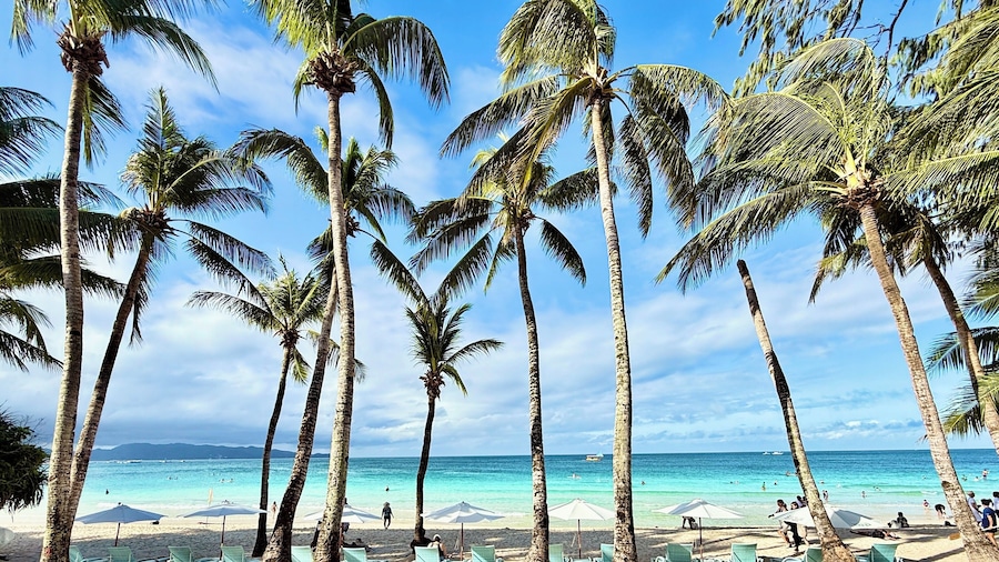 Calypso Beach & Dive Resort