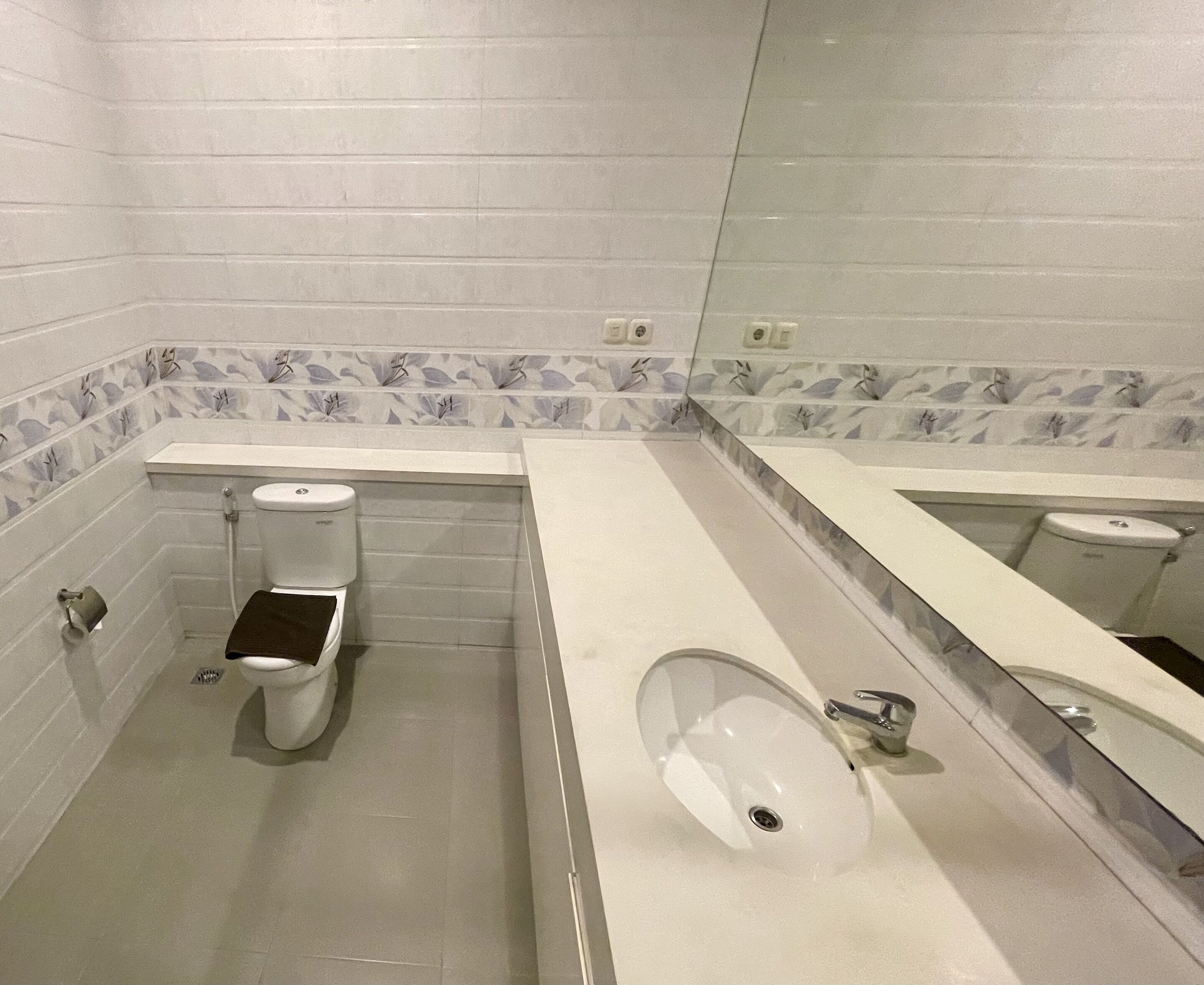 A bathroom with a toilet, a sink, and a mirror.