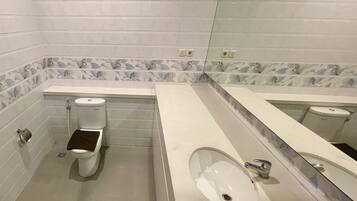 A bathroom with a toilet, a sink, and a mirror.