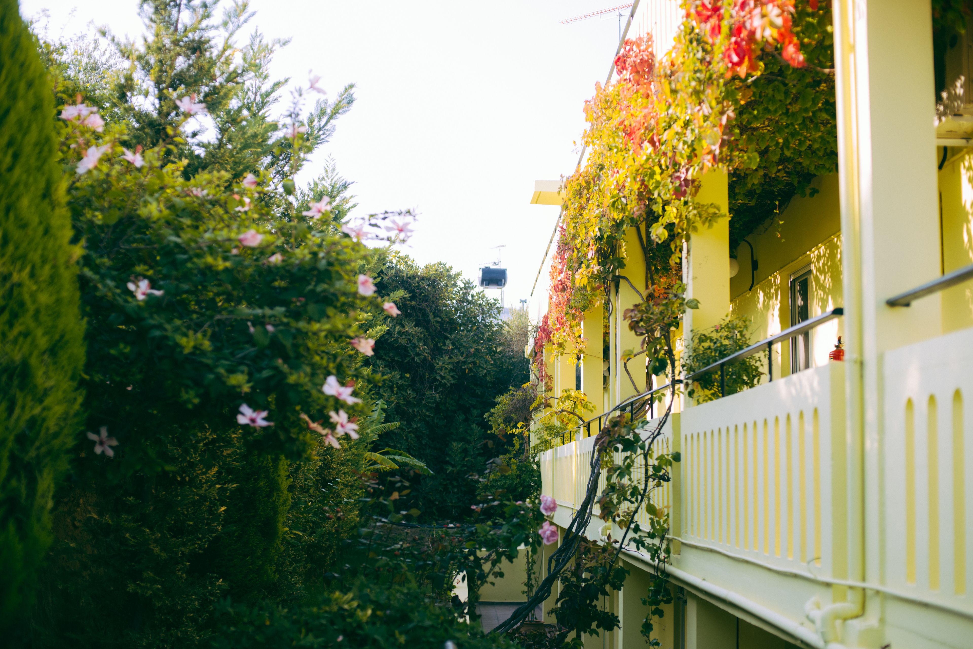 Una calle estrecha flanqueada por edificios, con balcones adornados con plantas en flor y una cerca blanca.