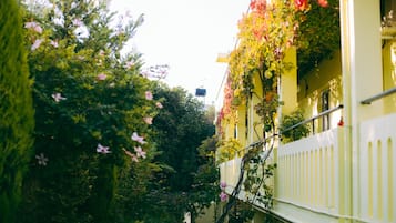 Una calle estrecha flanqueada por edificios, con balcones adornados con plantas en flor y una cerca blanca.
