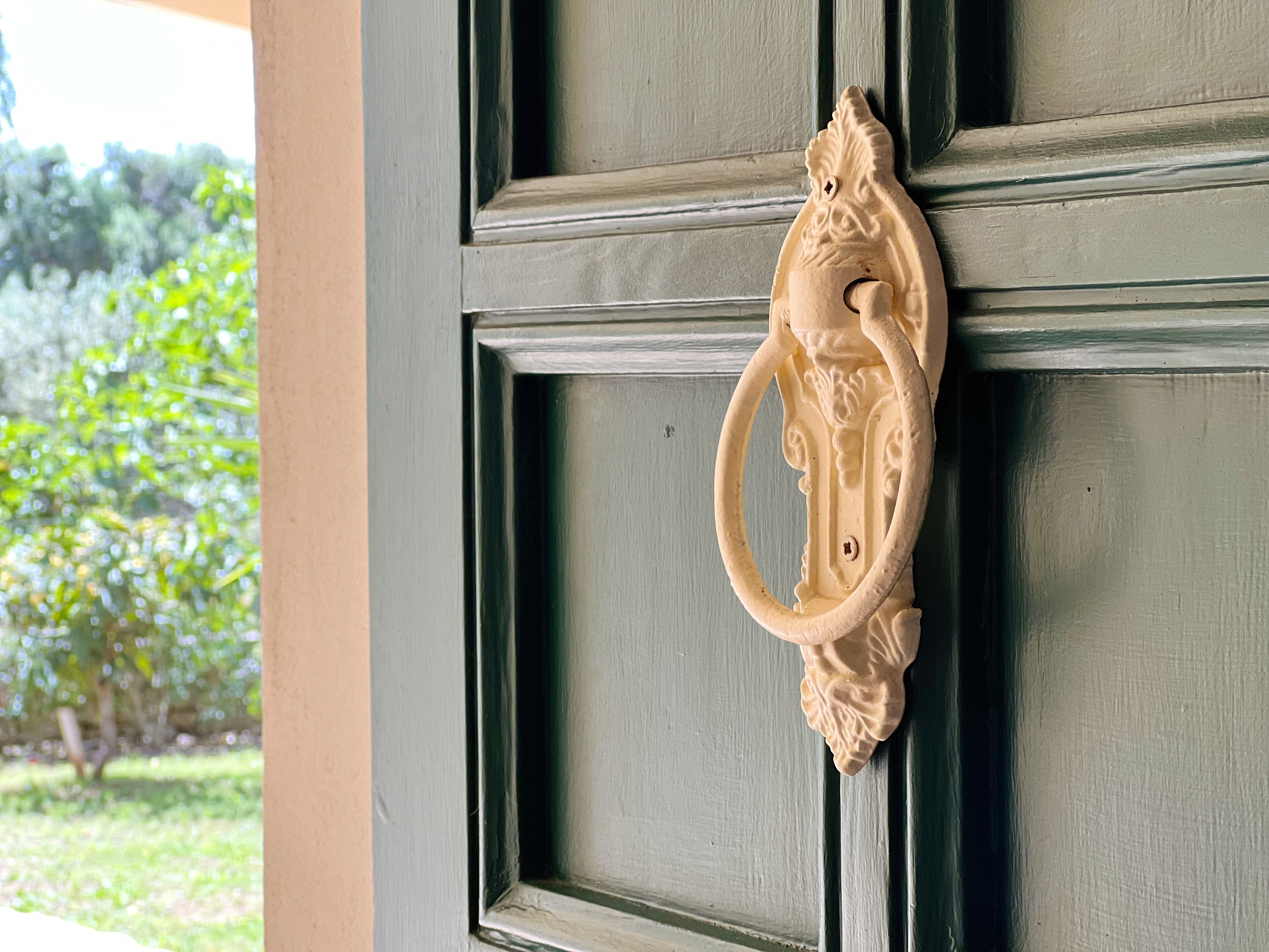 Una puerta con picaporte decorativo y una ventana con vista a follaje.