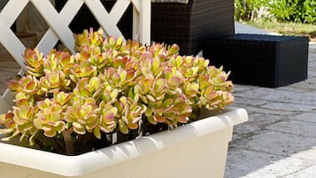 Room, 1 Queen Bed | Minibar, cots/infant beds, free WiFi, bed sheets