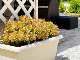 Minibar, cunas, wifi gratis y ropa de cama 